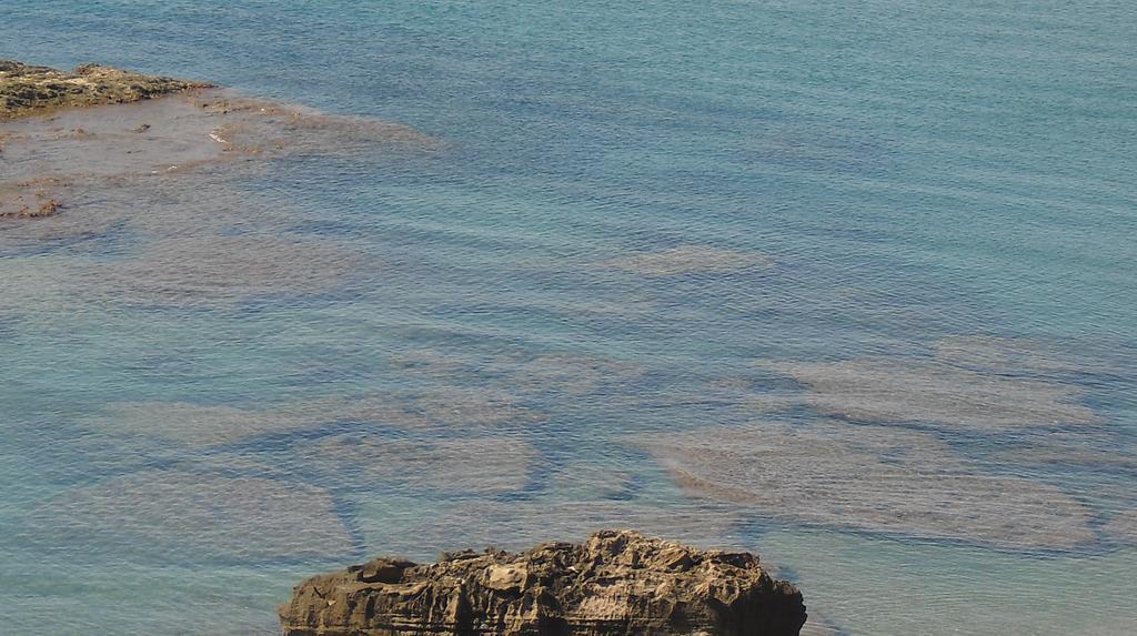 Hotel Leopoldo Castiglioncello Bagian luar foto