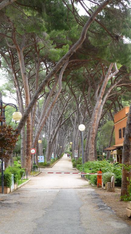 Hotel Leopoldo Castiglioncello Bagian luar foto